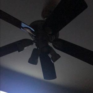 Meet your Posher, Kya